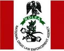 NDLEA Arrests 169 Suspects, Seizes 194kgs Of Hard Drugs In Bayelsa