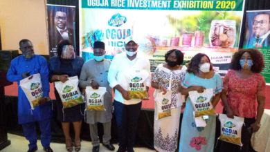 Post-Covid-19: Agro Business Now A Boost For Nigeria