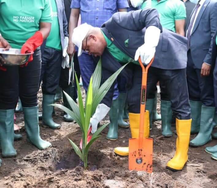 Akwa Ibom Coconut Day