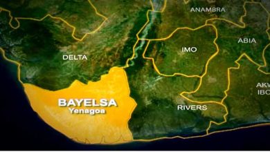 Bayelsa state pension committees