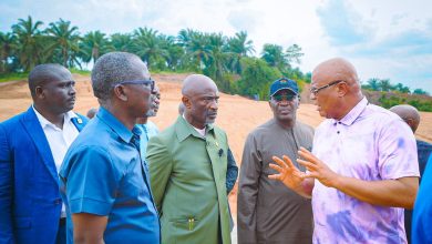 Uyo Recreational Park, Ravine Reclamation Project