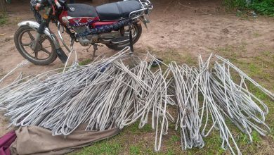 Vandals in Esit Eket