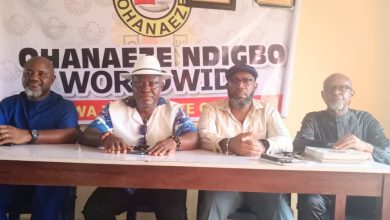 Ohanaeze Ndigbo celebrate Igbo Unity Day