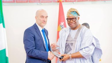 Parliamentary cooperation with Italy