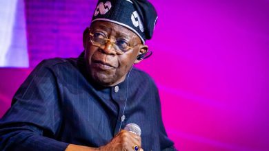 Nigerians in Diaspora for Tinubu's re-election